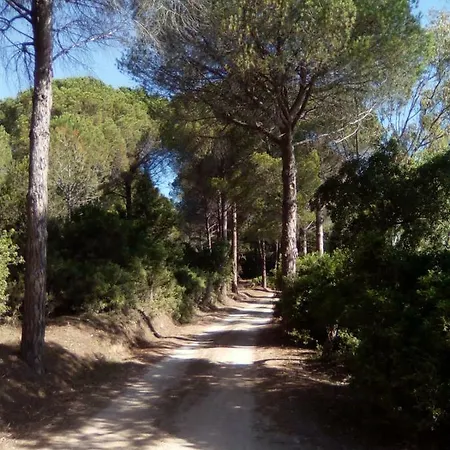 Vacanze Sardegna 西尼斯科拉